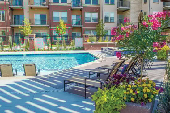 The-Grove-Pool