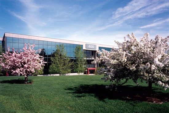 jordan-road-blossoms-Edited